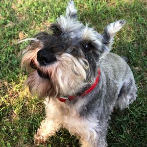 Meet your Posher, Sebastian